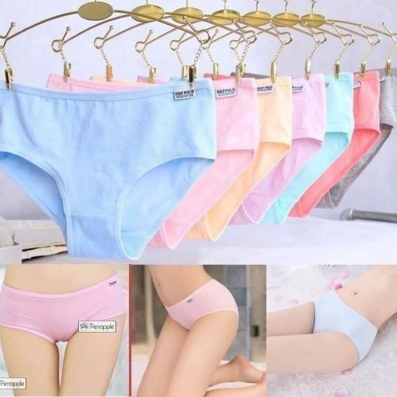 Sỉ 10 Quần lót cotton Pulo và Moda