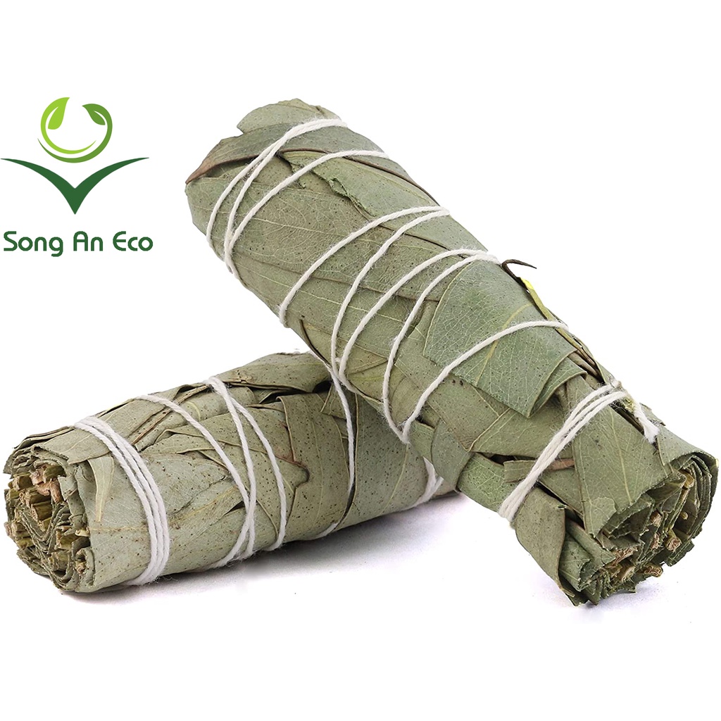 Bó xô thơm bảo vệ bạch đàn thanh tẩy và bảo vệ nhà cửa (Eucalyptus sage smudge stick)