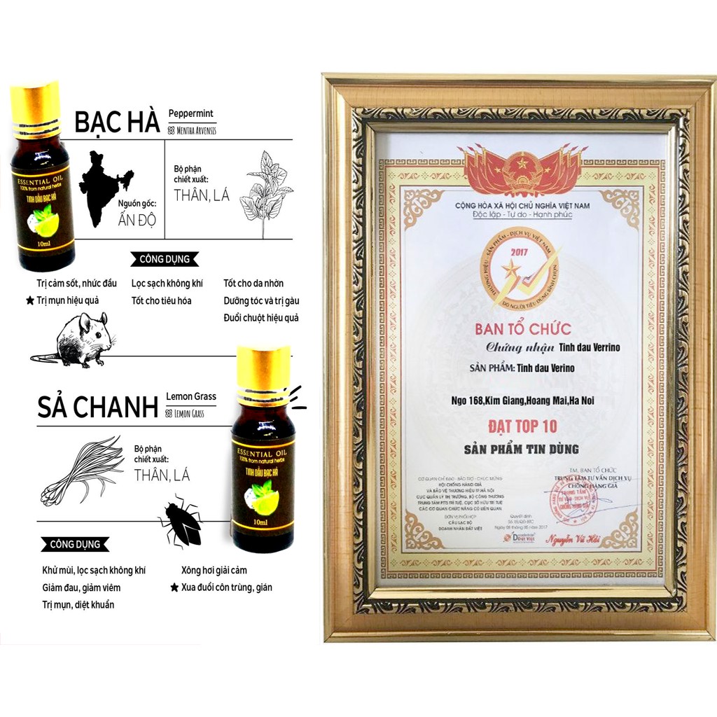 Tinh dầu Tràm Trung Ương 100ml