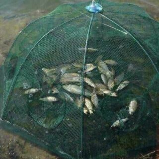 Lưới bát quái 8 cửa bắt tôm , cá