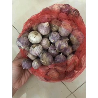 Tỏi cô đơn