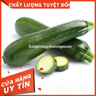 HẠT GIỐNG BÍ NGÒI - Còn hàng