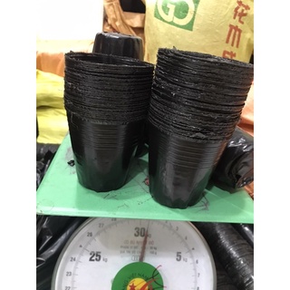 Bầu ươm cây 15*13(270 cái/kg)