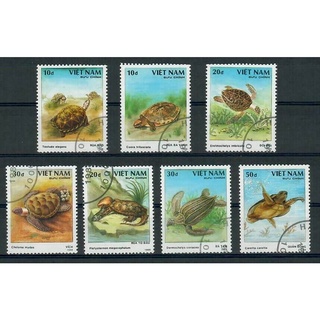 Tem sưu tập Việt Nam MS 567 Rùa Biển 1989