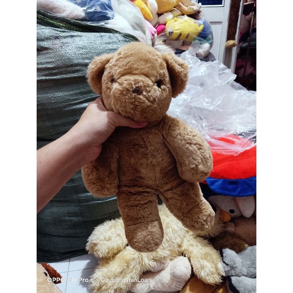 Gấu bông teddy size 40_50cm