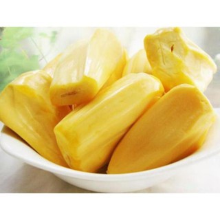 Cây mít thái không hạt