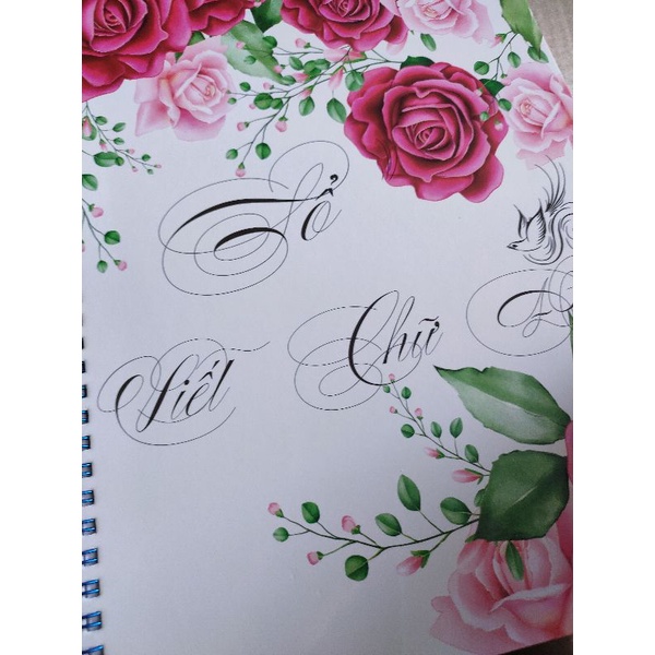 Sổ luyện chữ đẹp