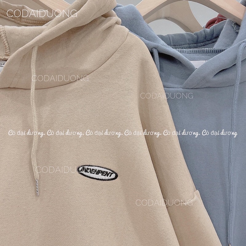 áo nỉ hoodie logo nhỏ | BigBuy360 - bigbuy360.vn