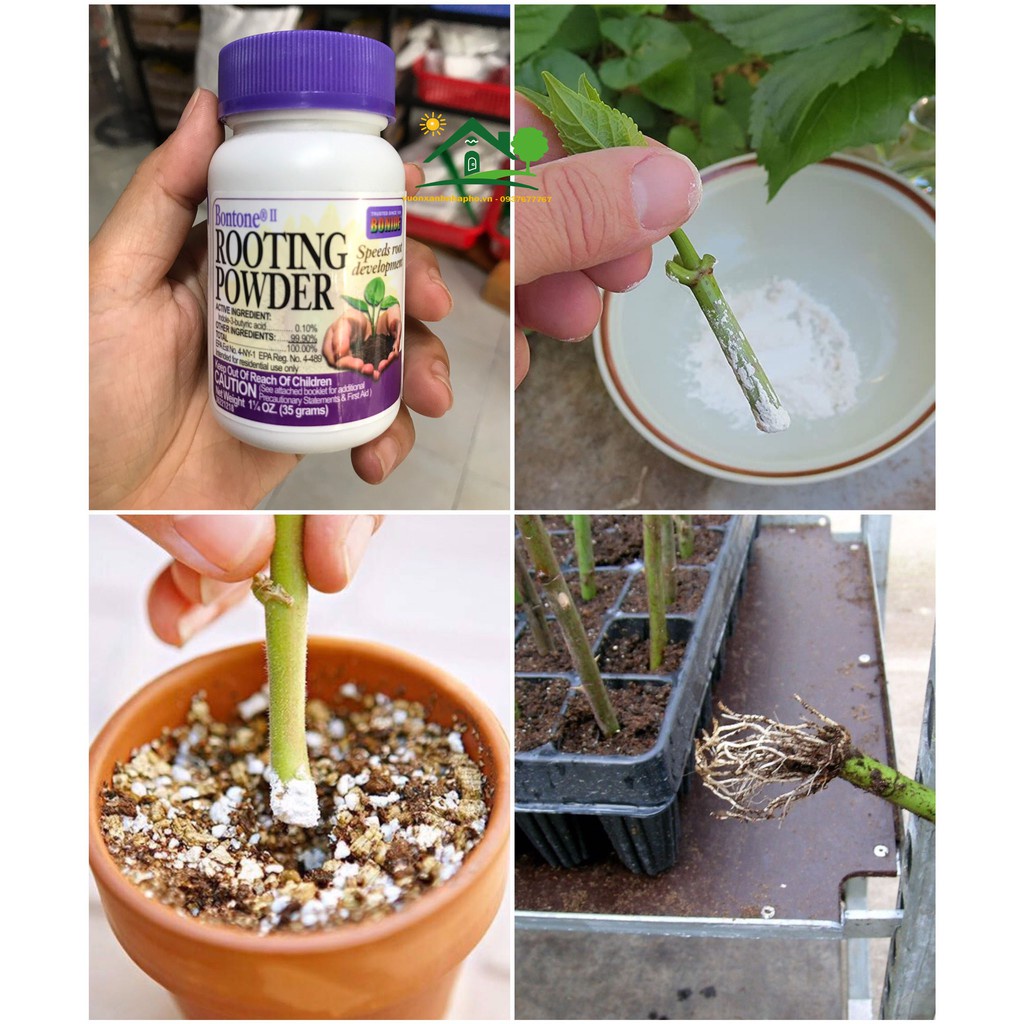 Kích ra rễ cực mạnh Rooting Powder 35gr sử dụng giâm cành, chiết cành, chống khuẩn nhập khẩu từ Mỹ