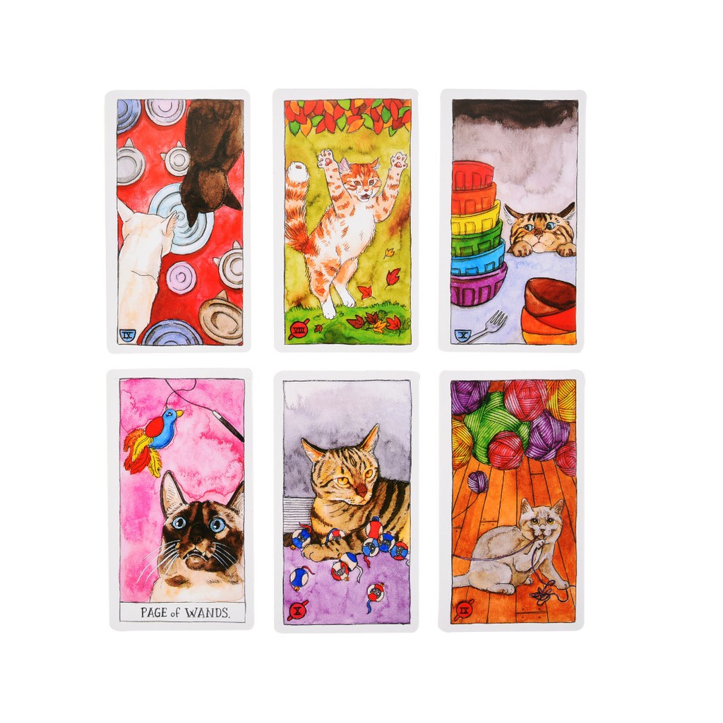 [Size Gốc] Bộ bài Bài Cat Tarot G4