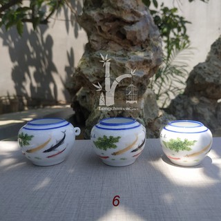Cóng sứ chào mào đẹp