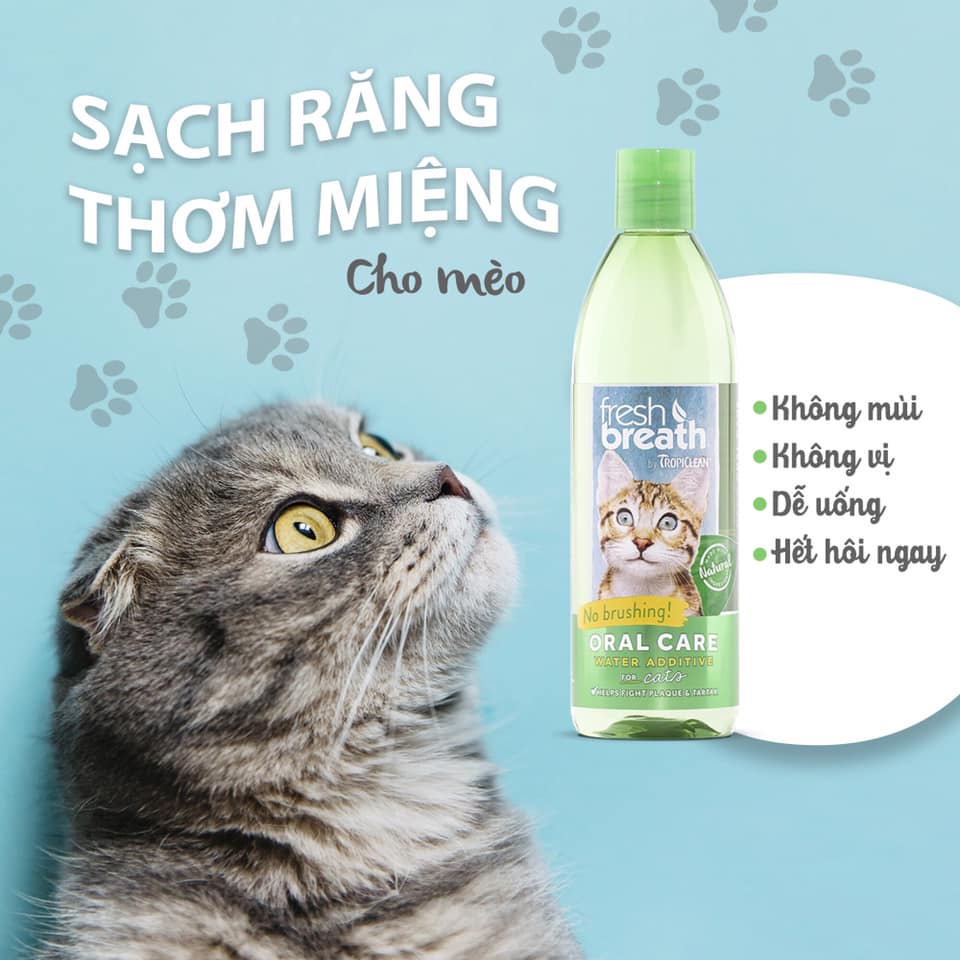 Nước súc miệng cho mèo Tropiclean 473ml, vệ sinh chăm sóc răng miệng mảng bám hôi miệng Con Mèo Xiêm