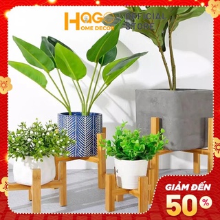 Đôn gỗ, kệ gỗ, giá đỡ chậu cây cảnh, chậu hoa gỗ thông tự nhiên trang trí nhà cửa, decor