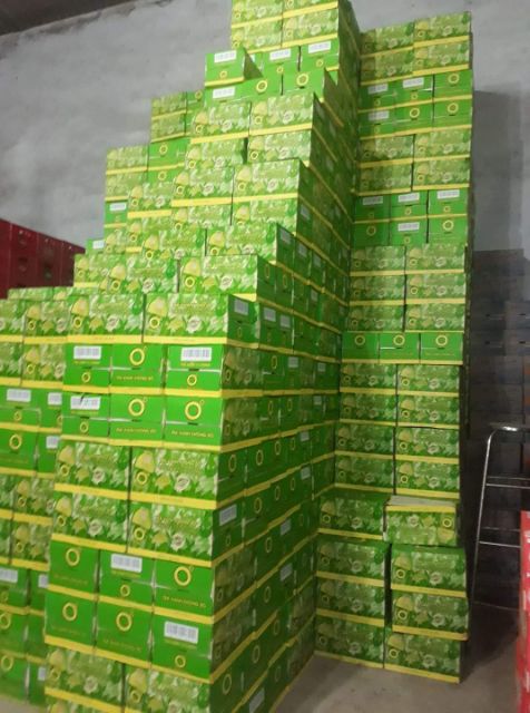 Bia Tiger xanh 330ml Thùng 24 lon | BigBuy360 - bigbuy360.vn