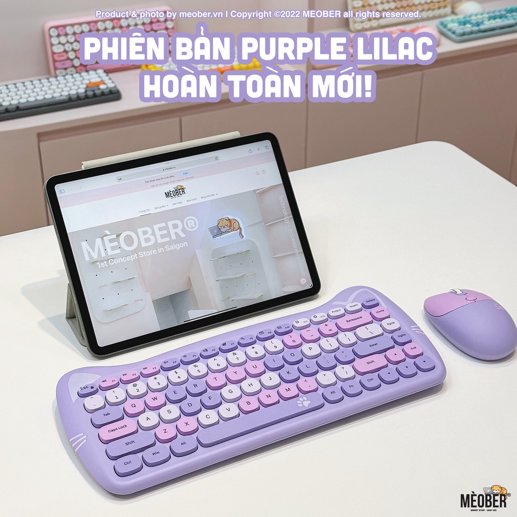 Bộ bàn phím không dây & chuột Silent MOFii Geezer Cute Cat dành cho Laptop, i pad, PC v.v