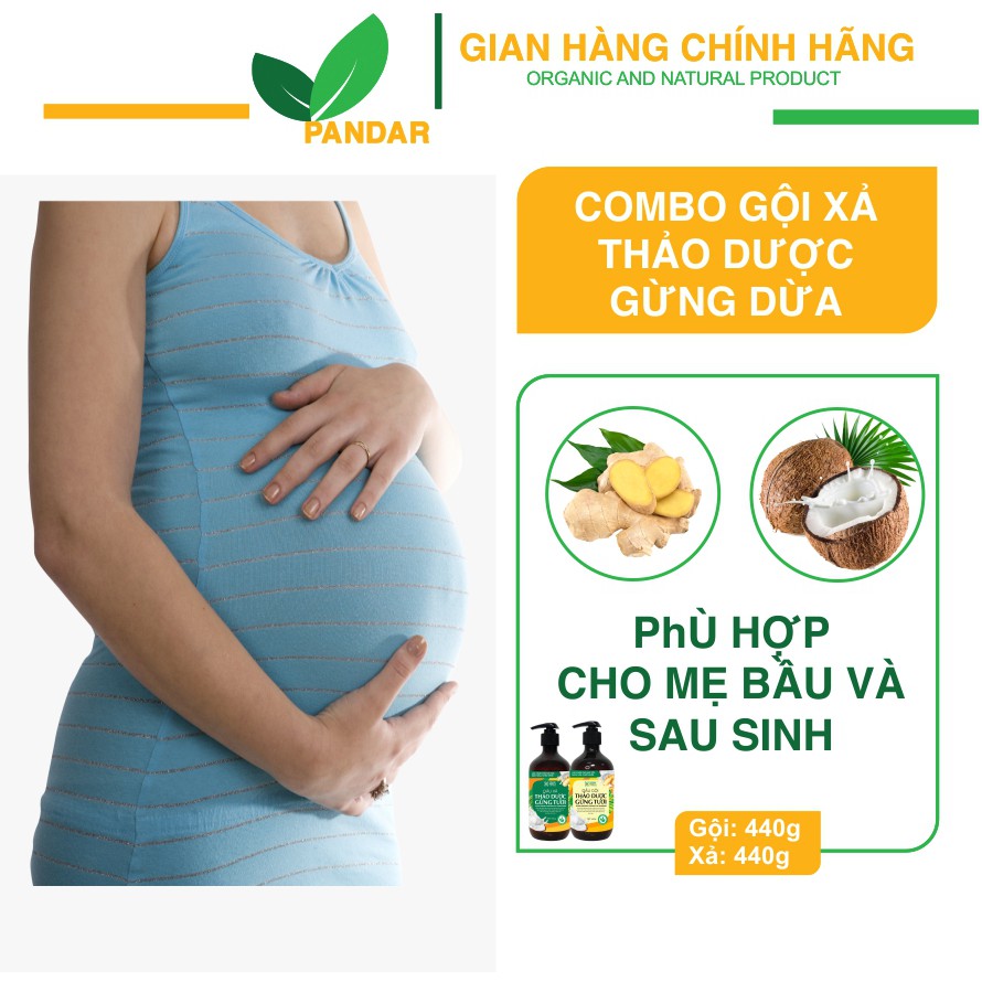 [CHO MẸ BẦU] Dầu gội, xả gừng và sữa tắm gừng nghệ và dung dịch vệ sinh phụ nữ cho các mẹ bầu và sau sinh, PANDAR