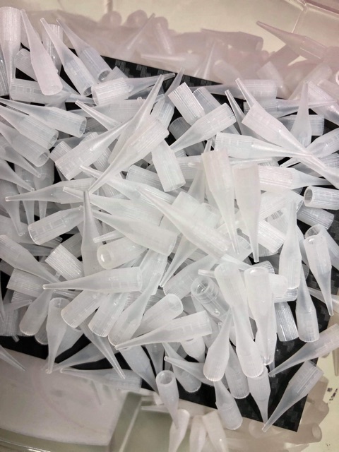 Ngòi gù, thần thánh