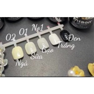 Sơn gel mixbon đen trắng, sữa, ngà