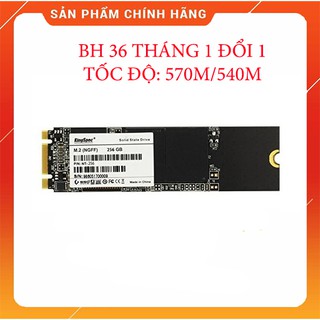 SSD Kingspec 256Gb M.2-2280 NT-256, tốc độ cao, bảo hành dài hạn