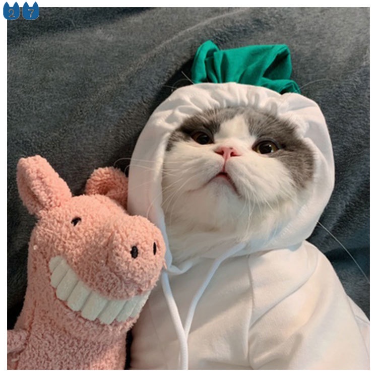 Áo Sweater Có Mũ Trùm Nhồi Bông Thời Trang Thu Đông 27 Pets