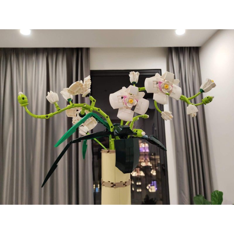 Đồ Chơi Lắp Ráp Mô Hình Hoa Phong Lan Phalaenopsis BOX