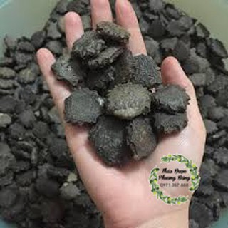 Hạt gấc sấy khô - 500gr