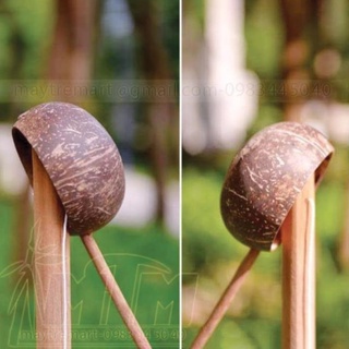 Tre tự nhiên- Tre SX- Gáo dừa to múc nước hoặc decor -Xưởng SX -Mây tre đan việt