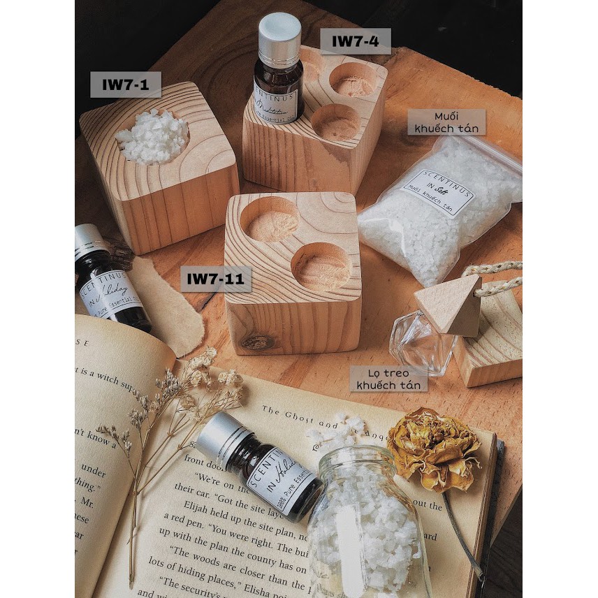 Muối khuếch tán tinh dầu