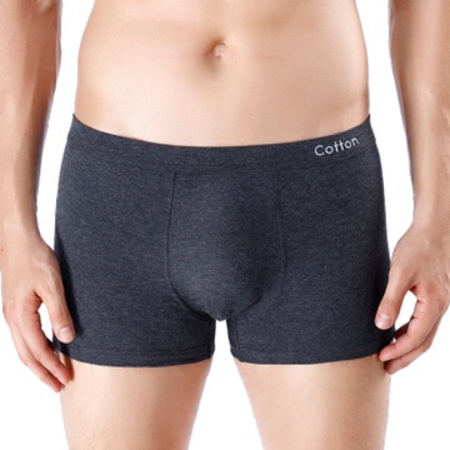 Boxer / Quần Lót Nam Cotton Co Giãn Bốn Chiều ( QL : 200 )