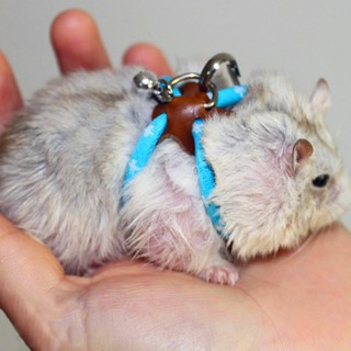 Dây dắt chuột Hamster đi dạo trơn màu xinh xắn_BBYA3_168