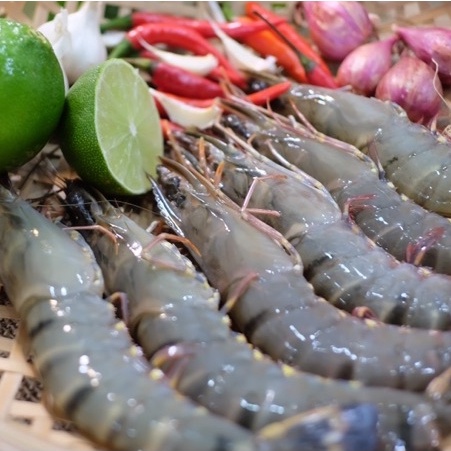 Tôm sú sinh thái rừng ngập mặn Cà Mau loại 1 175g/pack 3 con
