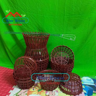 Chậu Nhựa Trồng Lan Có Lan Phụ (Hàng Đẹp)