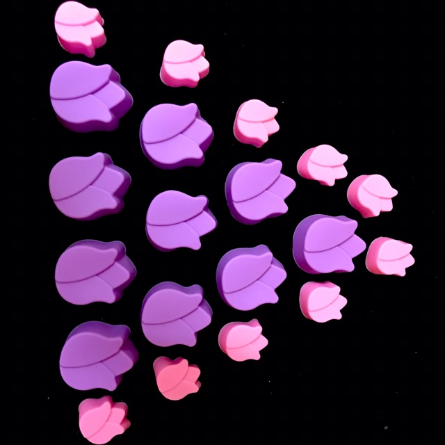 Khuôn lồng hoa tulip