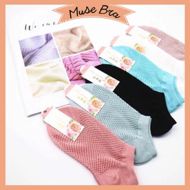 [Giá sỉ] Set 10 Đôi Tất Lưới Thông Hơi Cho Nữ