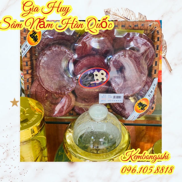[SỈ TẬN GỐC ] Nấm Linh Chi Tai Đỏ 6 Năm Tuổi Dạng Khay HÀN QUỐC