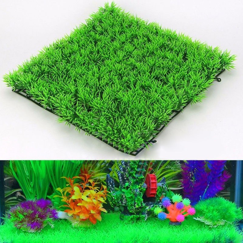 Bụi cỏ nhân tạo trang trí bể cá đẹp mắt