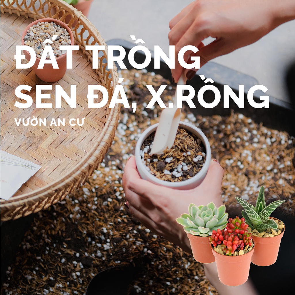 Đất trồng sen đá, xương rồng đã trộn sẵn đủ dinh dưỡng và tơi xốp (300g - 1L)
