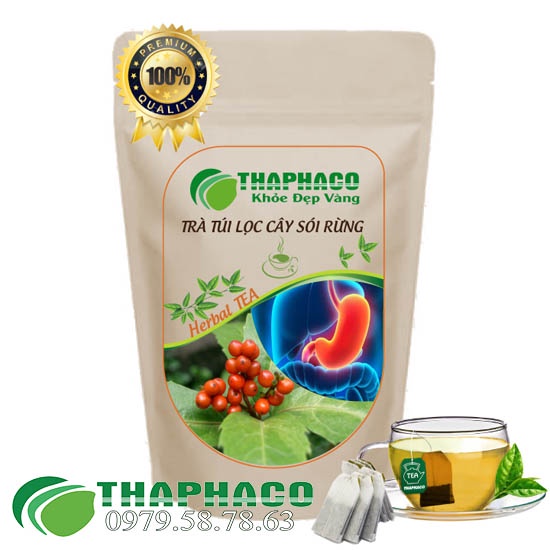 Trà Túi Lọc Cây Sói Rừng THAPHACO