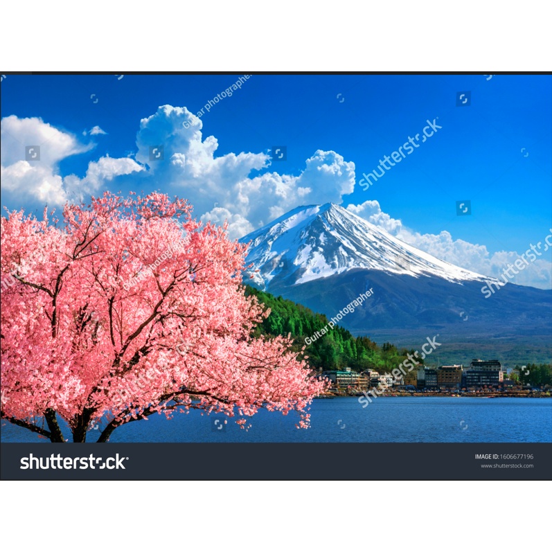 Tranh dán tường đường phố Nhật Bản 3D miễn Phí chèn tên riêng Quán, chèn chữ và logo theo yêu cầu