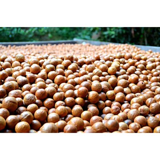 Hạt Macadamia sấy khô nứt vỏ 500gram