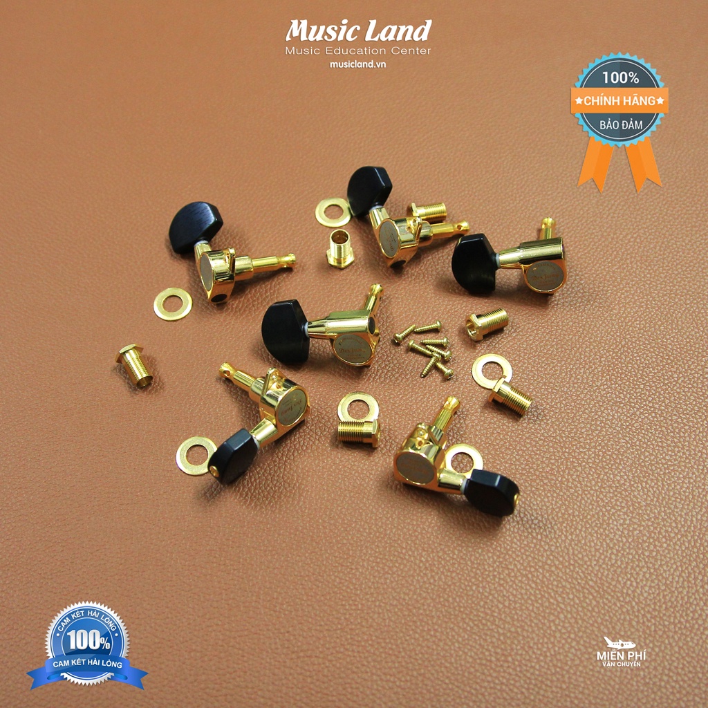 Khóa Đàn Guitar Acoustic DeJung P4B – Chính Hãng