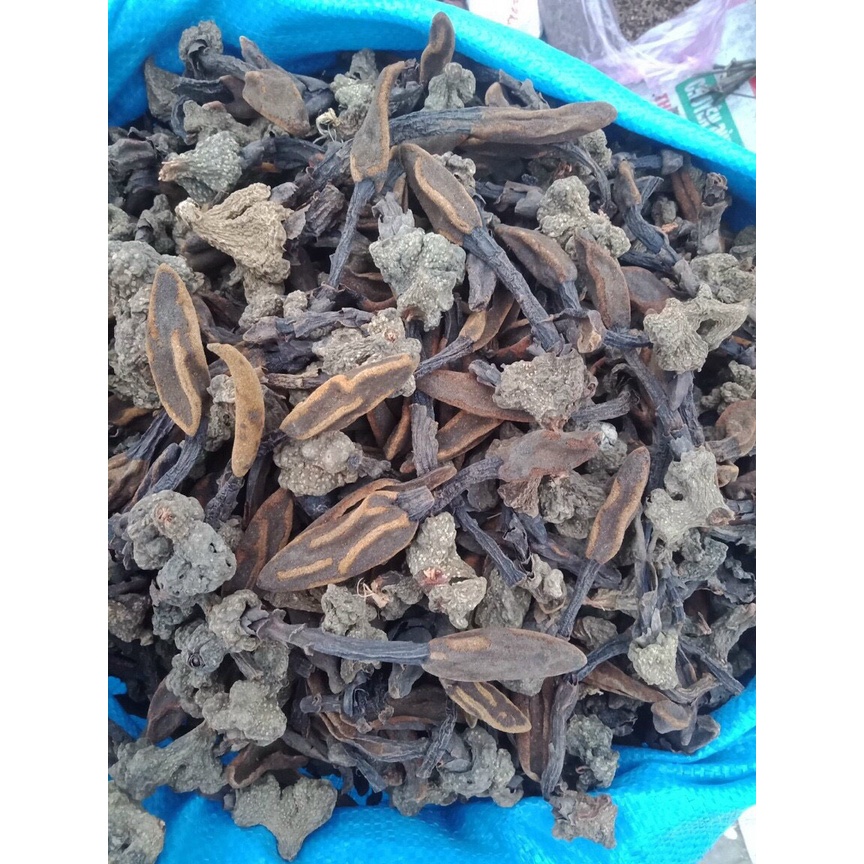 [Chính hãng] Nấm ngọc cẩu hàng tự nhiên sấy khô tuyển chọn lọc kỹ trước khi đóng gói | BigBuy360 - bigbuy360.vn