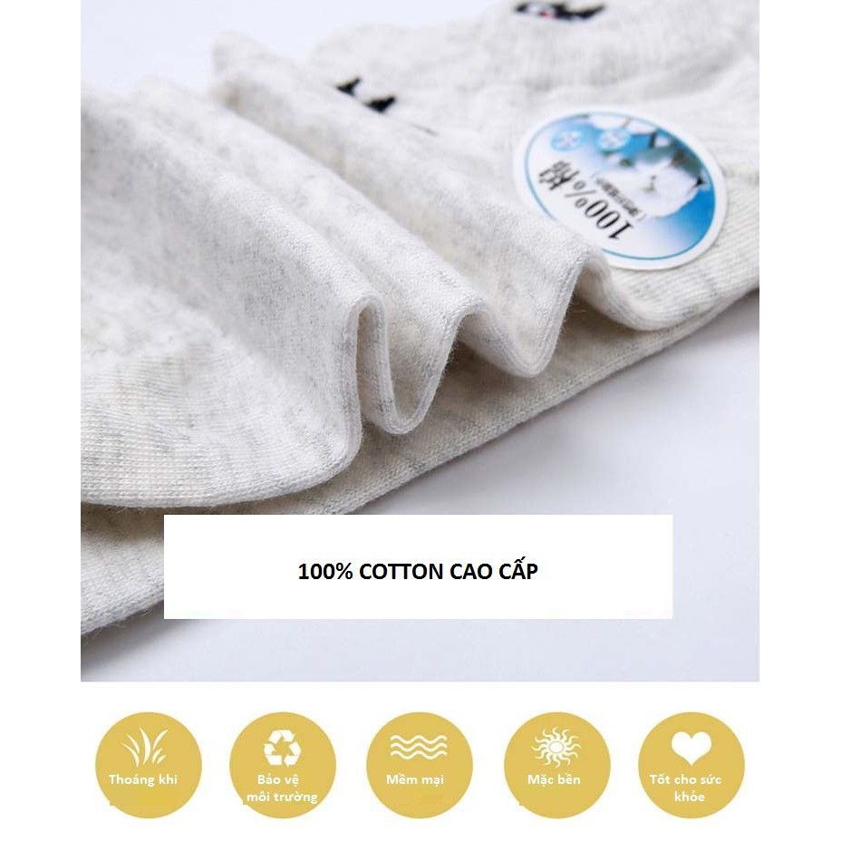 Combo 2 đôi tất nữ cotton kháng khuẩn - 100k