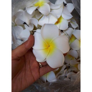 sỉ 100 bông  hoa đại cài tóc