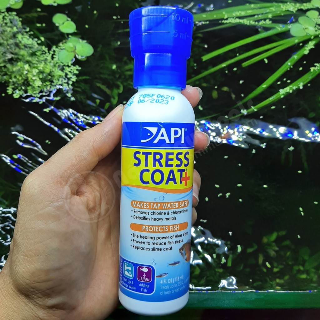 [Chính hãng] API Stress Coat | Thần Dược Khử nước, Giảm Stress, Phục hồi vết thương giành cho cá cảnh