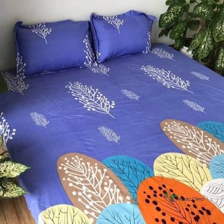 Bộ ga gối poly cotton