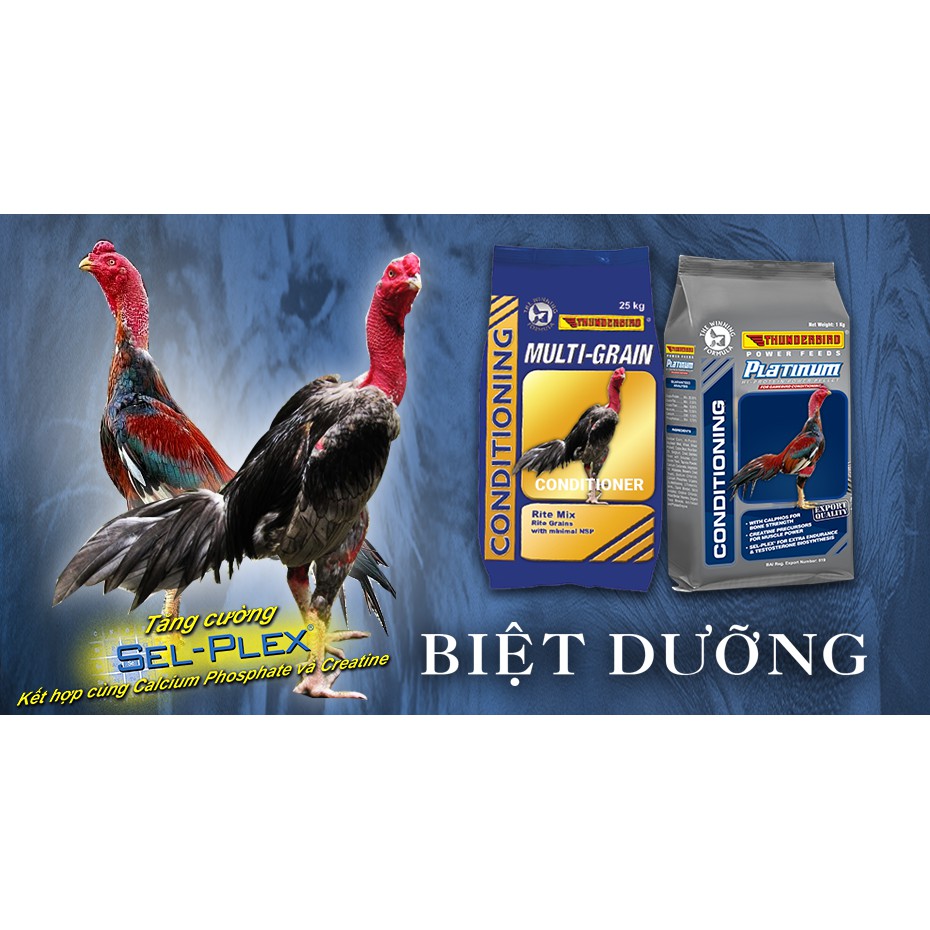 Ngũ Cốc Cho Gà Đá MULTI - GRAIN Thunder Bird 1Kg