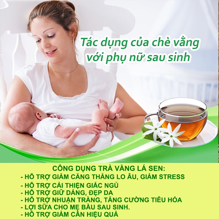 Trà vằng lá sen hỗ trợ giảm cân giữ dáng đẹp da giúp ngủ ngon thanh nhiệt giải độc đốt cháy mỡ thừa hiệu quả