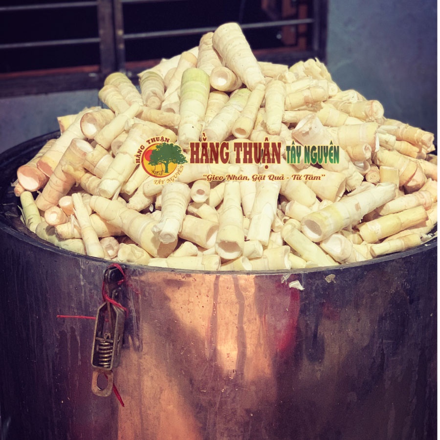 MĂNG KHÔ RỪNG KON TUM