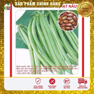 Hạt giống Đậu Cove Leo 4 mùa 50Gram [Bán Sỉ]